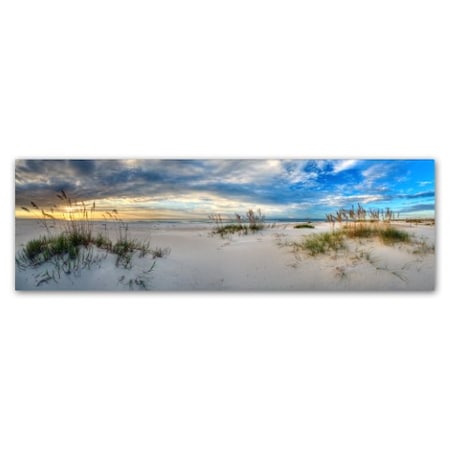 Doug Cavanah 'Beach Landscape' Canvas Art,6x19